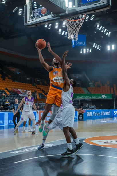 他们引用英 他们引用英